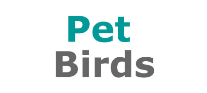 Pet Birds at Lee Lane Pets, Horwich, Bolton