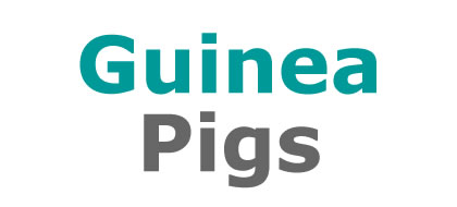 Guinea Pigs at Lee Lane Pet shop, horwich, bolton