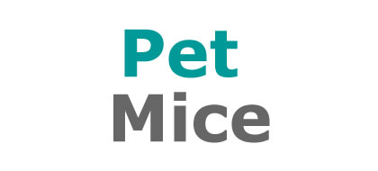 Pet Mice at Lee Lane Pets, Horwich, Bolton