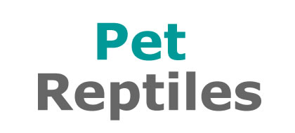 Reptiles at Lee Lane Pets, Horwich, Bolton